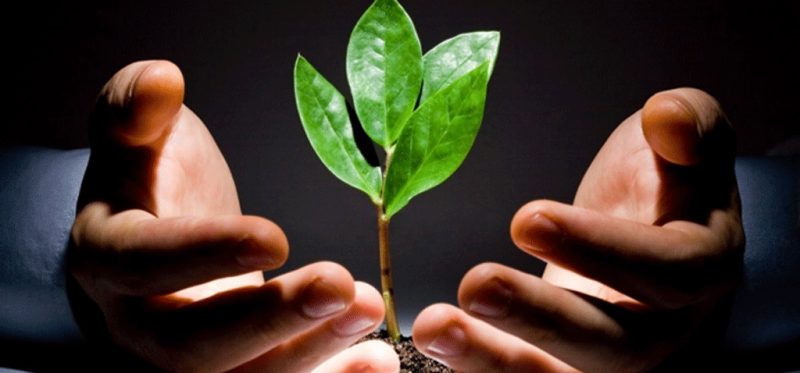 Micro Finance Company Registration