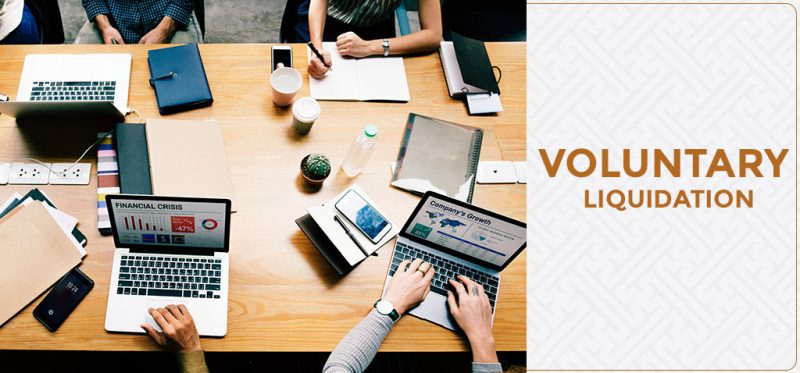 Voluntary Liquidation - Muds Management