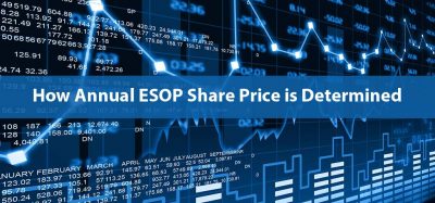 Annual ESOP Share Price