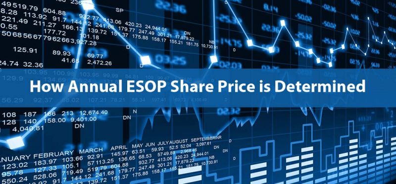 Annual ESOP Share Price