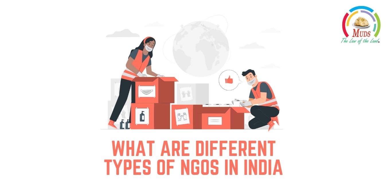 What Are Different Types of NGOs in India