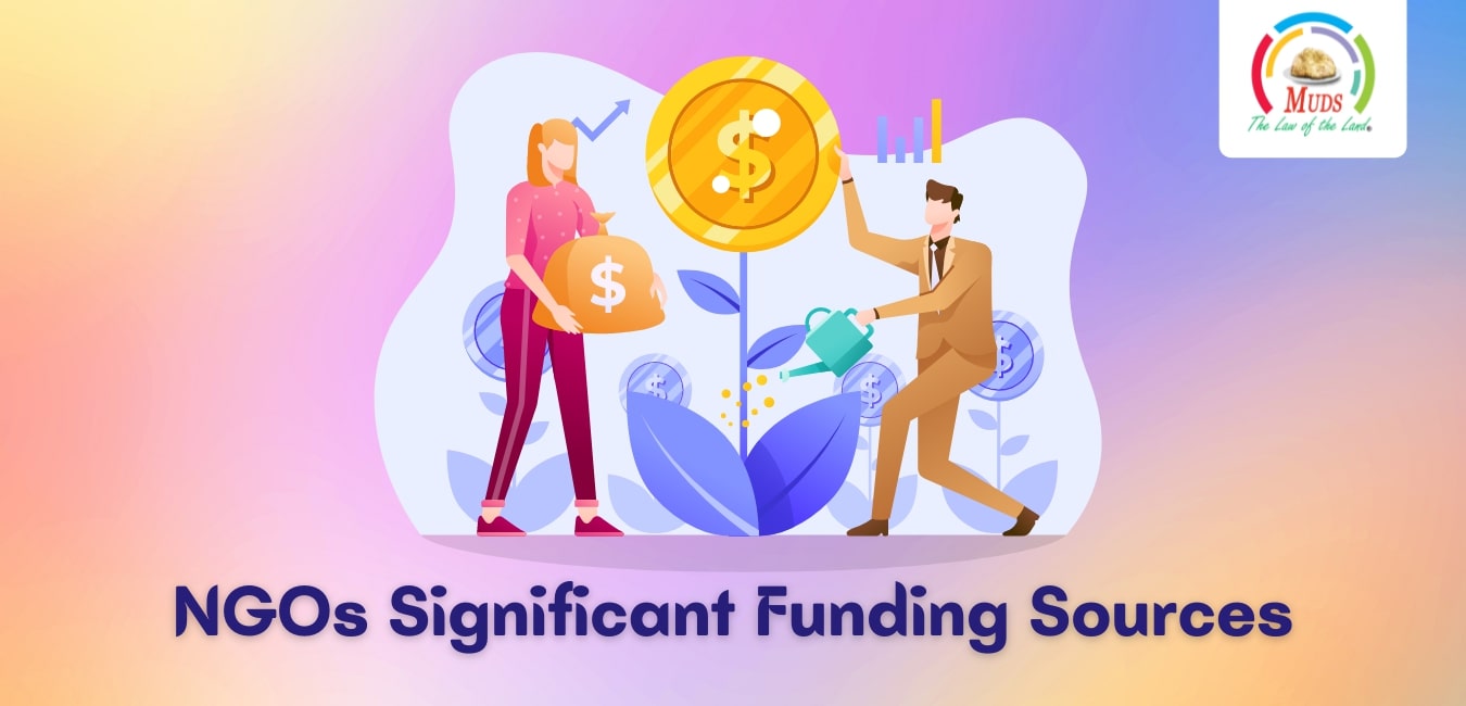 NGOs Significant Funding Sources